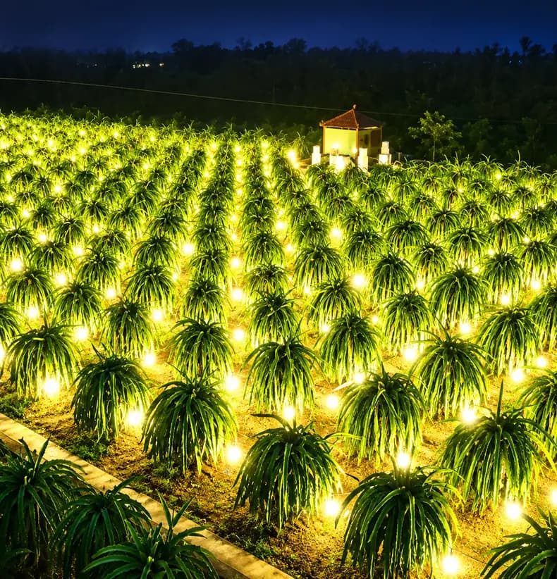 Kênh Nông Nghiệp